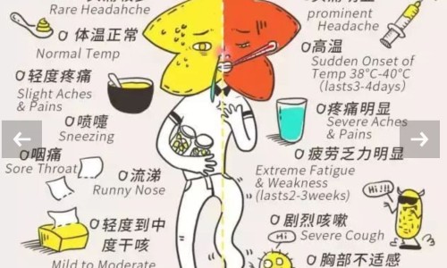权威桑拿对身体好吗平台,分享专业桑拿浴有什么好处知识_桑拿有什么效果好网
